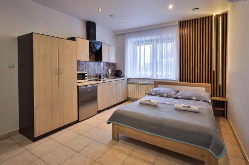 Kuchyň nebo kuchyňský kout v ubytování Apart-House Uniejów