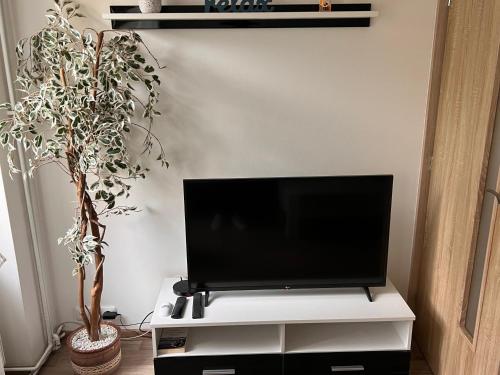ApartmentsCarlsbadにあるテレビまたはエンターテインメントセンター
