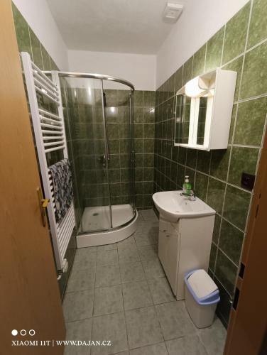 Un baño de Penzion Dajan
