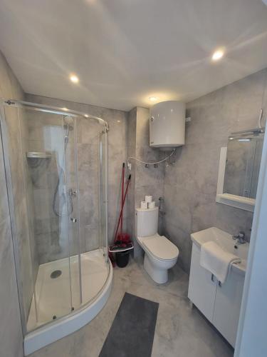 a bathroom with a shower and a toilet and a sink at Apartamenty Łokciowe in Smołdzino
