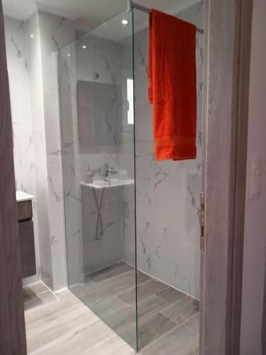 a bathroom with a shower and a sink at Agnanti Apartment in Órmos