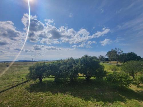 a group of trees in a field with a sky at Apartamenty Łokciowe in Smołdzino