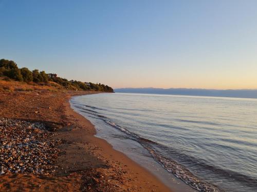 a view of a beach with the water at 9 Muses Villas in Chrani