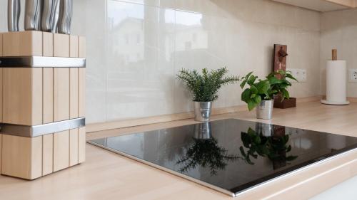 a kitchen with a sink with plants in it at Captains Quarters 5 in Dahme in Dahme