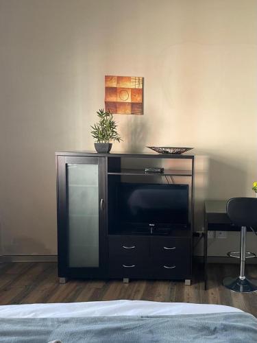 a entertainment center with a television and a plant on it at Three Flags in Pietermaritzburg