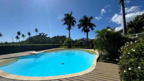 a large blue swimming pool with palm trees in the background at Moemiti in Moorea