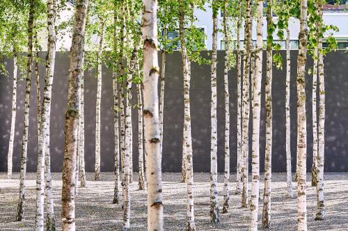 a group of white trees in front of a wall at Greulich Design & Boutique Hotel in Zürich