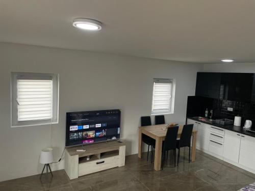 TV a/nebo společenská místnost v ubytování Apartmani Dimitrijevic