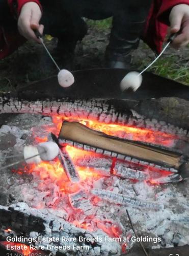 a person is cooking food over a fire at NEW RENOVATED FARM river view Cabin with wood burner pet friendly fire pit bbq in Bramfield
