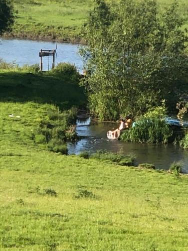 a person swimming in a river in a field at NEW RENOVATED FARM river view Cabin with wood burner pet friendly fire pit bbq in Bramfield