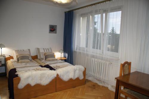 a bedroom with a bed and a large window at Apartament Pułaskiego in Rzeszów