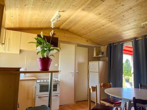 une cuisine avec une table et une plante en pot dans l'établissement Bungalow - La Petite Sibérie - Nature - Familial, à Mazet-Saint-Voy