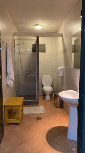 a bathroom with a shower and a toilet and a sink at Hostel Otto Tipp in El Bolsón