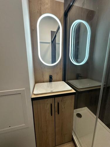 une salle de bain avec un lavabo et un miroir dans l'établissement Studio cabine à Bonascre Wi Fi garage privé, à Ax-les-Thermes