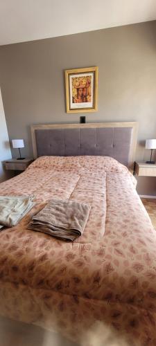 a bedroom with a large bed with a blanket at Departamento en PEATONAL con SEGURIDAD privada 24hs in Santa Fe
