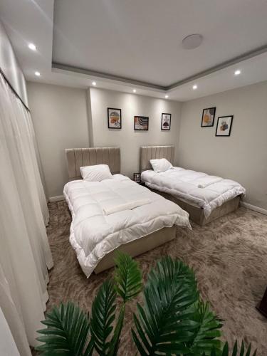 Postel nebo postele na pokoji v ubytování Queen of Zamalek 3BR apt