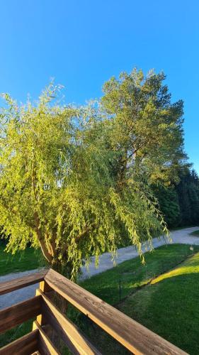 a wooden fence with a tree in a field at Sous le saule in Nods