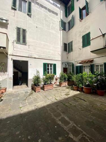 Benvenuti nel paradiso in città