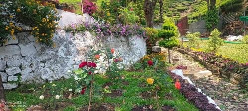 a garden with flowers and a stone wall at Munnar home stay in Munnar