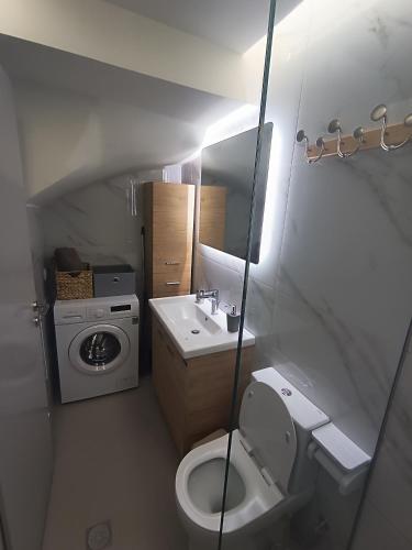 a small bathroom with a toilet and a sink at Roummi Suite Mirtos in Myrtos