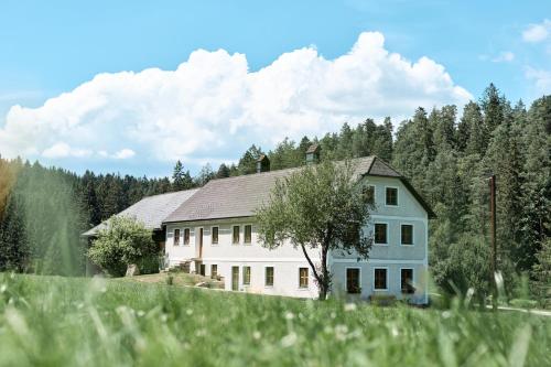 Auszeit am Kamp - Ferienhaus Rametsteiner
