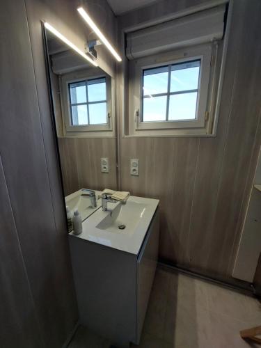 une salle de bain avec un lavabo et un miroir dans l'établissement Entre Tours et Loches, à Tauxigny