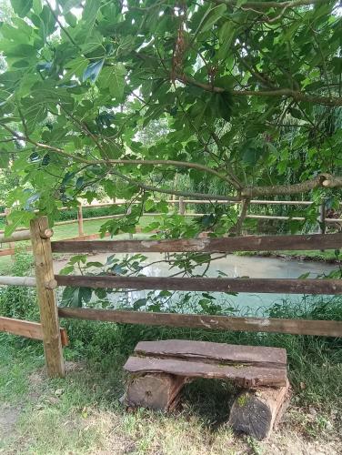 a wooden bench sitting in front of a tree at Le Reflet du Trèfle in Puybegon