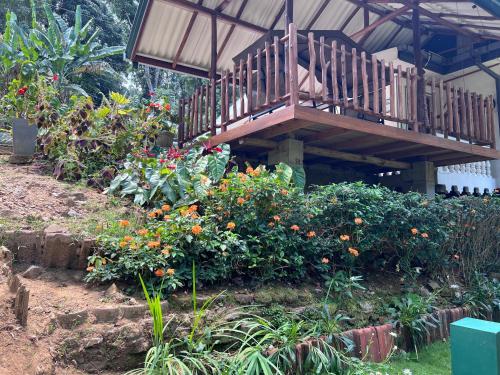 Um jardim em Eeshani Guest Inn