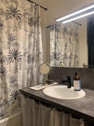 une salle de bain avec un lavabo et un rideau de douche dans l'établissement Hypercentre, Cocon pour 6 parking possible, à Marseille