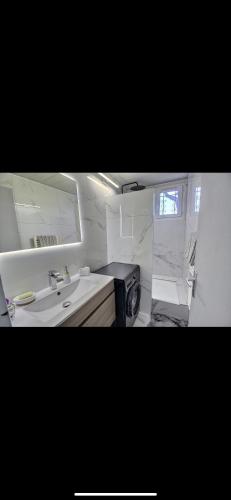 une salle de bain blanche avec un lavabo et un miroir dans l'établissement Appartement 2 chambres, à Marignane