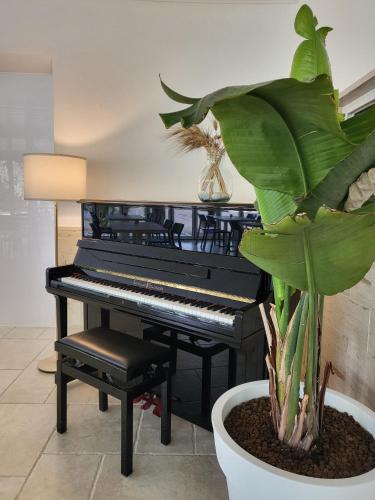 Φωτογραφία από το άλμπουμ του Hotel Residence Torre Del Porto σε Mattinata