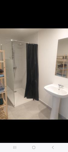 une salle de bain avec douche et lavabo dans l'établissement Grand Appartement, 2 ou 3 ou 4 pieces, tramway sur place, proche gare sncf St Augustin 5 min, aéroport à 7 min, plage ou Allianz riviera 10 min, palais nikaia 2 min , supermarché sur place, parking possible si disponible ou payant à 1000 metre, à Nice