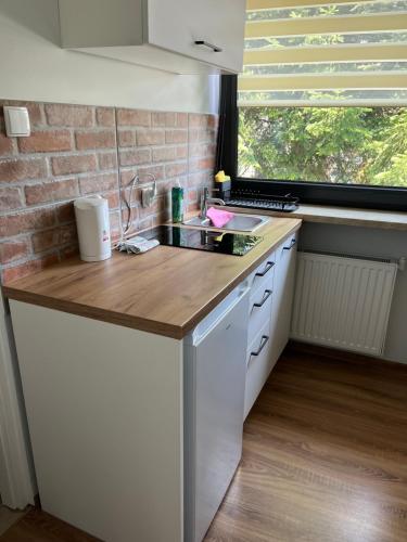 a kitchen with a sink and a brick wall at Dwunastka in Zakopane