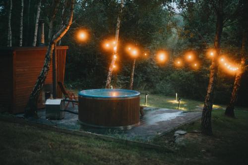 Φωτογραφία από το άλμπουμ του Domki W Sam Las & SPA Lubenia σε Lubenia