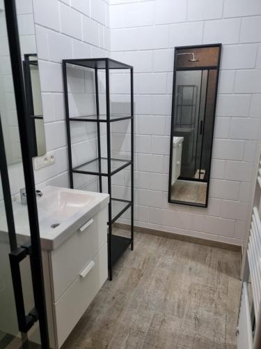 a bathroom with a sink and a mirror at Le P'tit Padré in Jalhay
