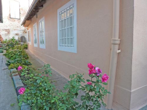 a row of pink roses next to a building at Apartment St. Marko in Zagreb