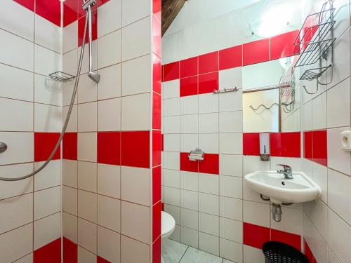a red and white bathroom with a sink and a shower at Penzion U Fandy in Šatov