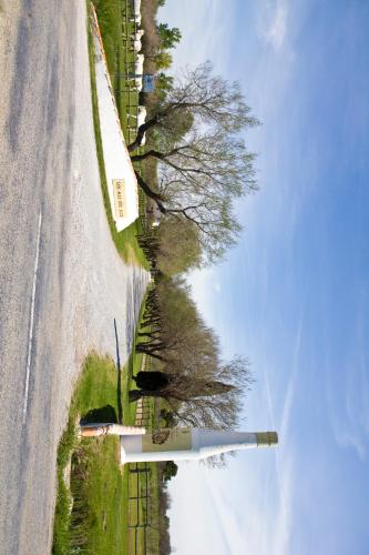 a reflection of a tree on the side of a road at Lou Mas Dou Juge in Saintes-Maries-de-la-Mer