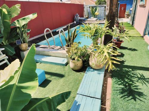 a garden with a blue bench and potted plants at MARRAKECH פלא - PELEH - Queit place 3 km from the beach of Cesarea in Or ‘Aqīvāh