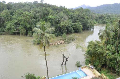 a view of a river with a palm tree at The Aurum Subrahmanya in Subrahmanya