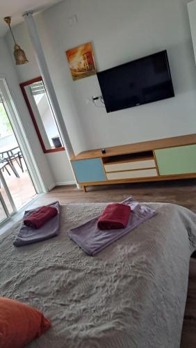 a bedroom with a large bed and a flat screen tv at כוכב הגלבוע in Gan Ner