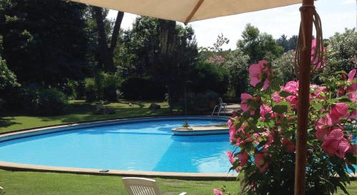 Villa Albina photo 17