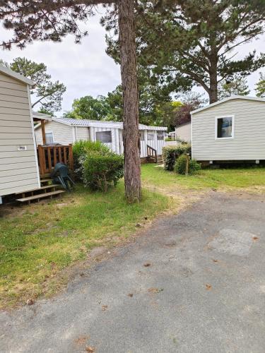 un groupe de mobile homes garés à côté d'un arbre dans l'établissement Mobil-home INTUITION 8P, à Saint-Jean-de-Monts