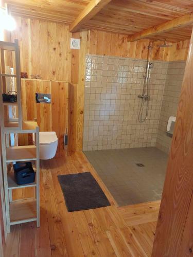 a bathroom with a tub and a shower in it at Au Coq et fa gnes in Jalhay