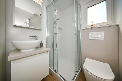 a bathroom with a shower and a toilet and a sink at Kamp Oaza Lučica in Drage