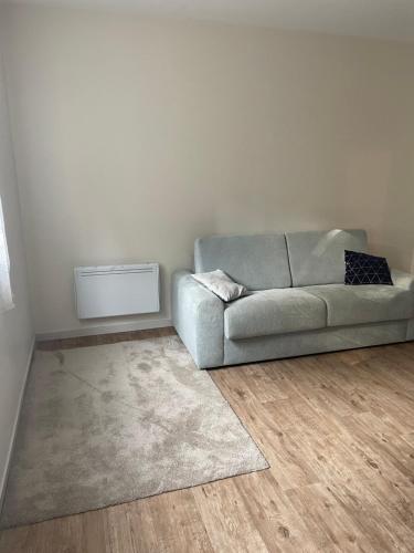un salon avec un canapé et un tapis dans l'établissement Studio en plein centre-ville, au Puy-en-Velay