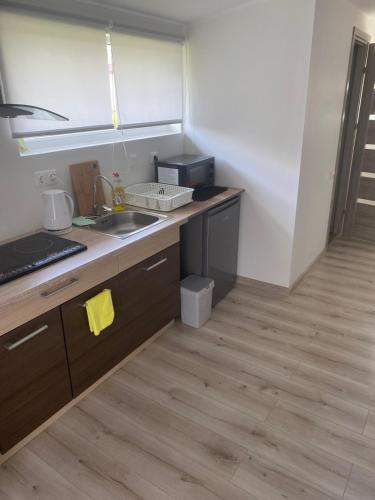 a kitchen with a sink and a counter top at Atskiri apartamentai in Šilutė