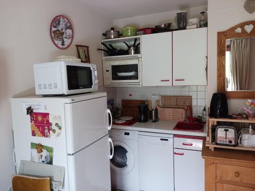 Il comprend une cuisine équipée d'un four micro-ondes et d'un réfrigérateur. dans l'établissement La dent d'Oche, à Bernex