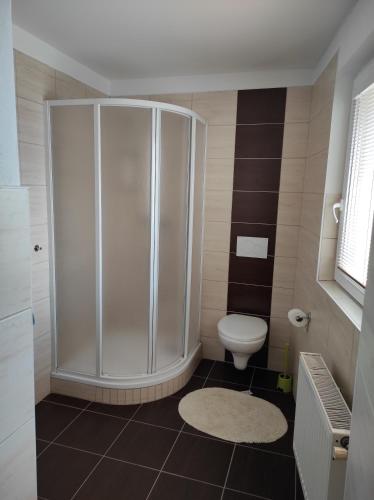 a bathroom with a shower and a toilet at Penzion a restaurace U Knoppa in Opava