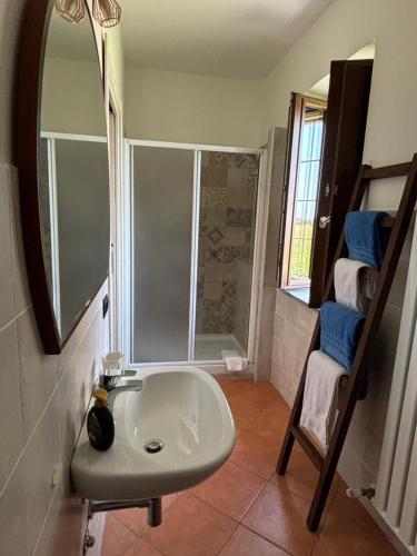 a bathroom with a sink and a shower and a mirror at B&B Molinetto in Piacenza